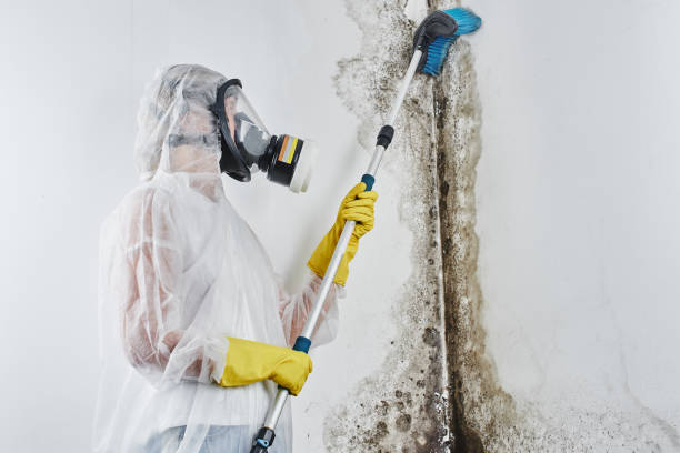Water Damage Restoration in Mandan, ND