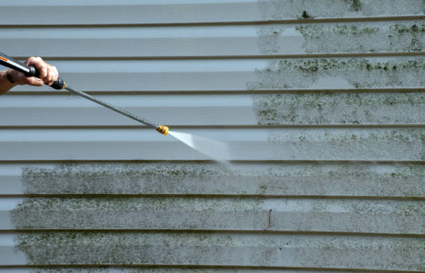 Mold Removal Process in Mandan, ND