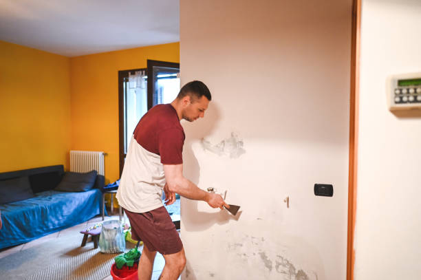 Trusted Mandan, ND Mold Removal Experts